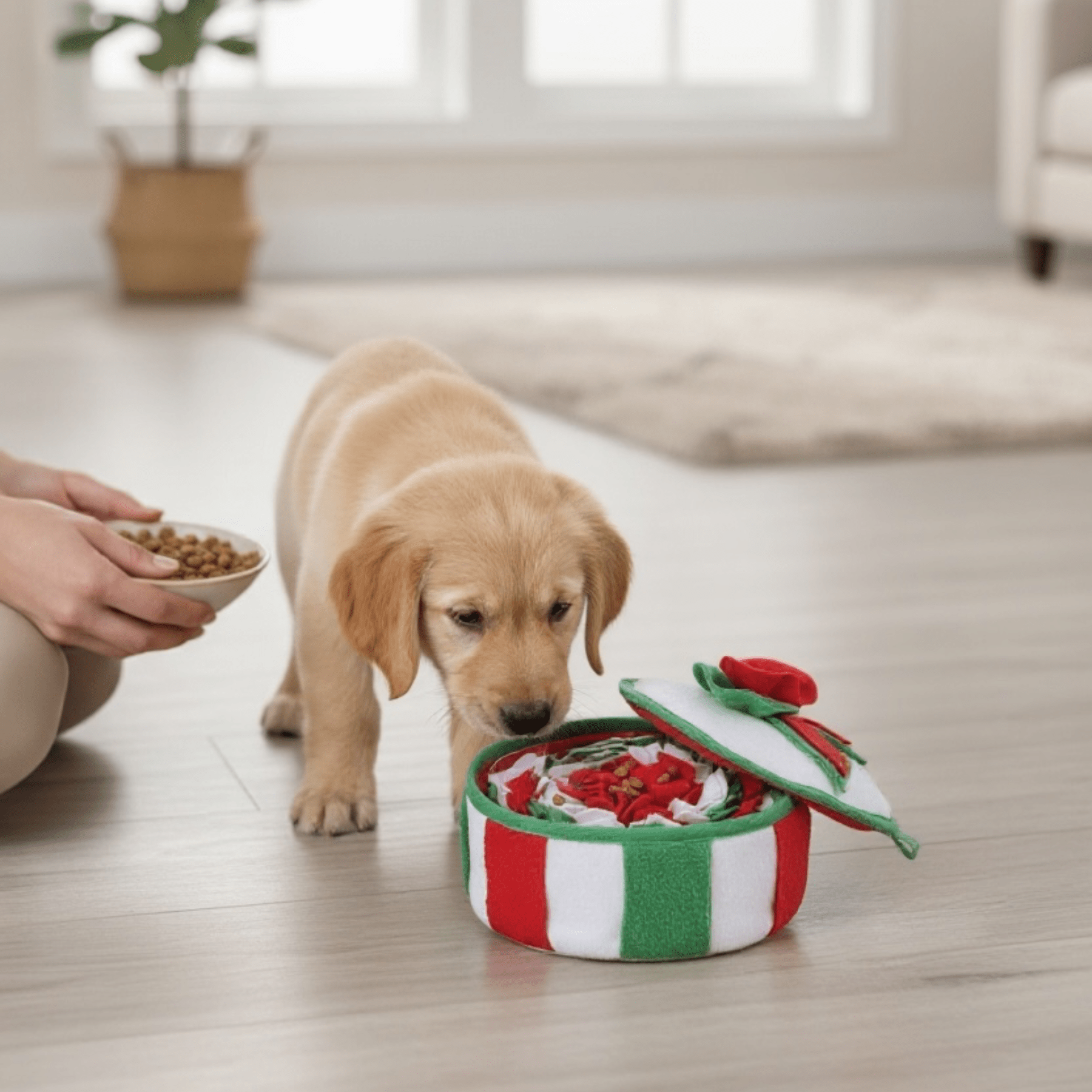 Christmas Snuffle Bowl