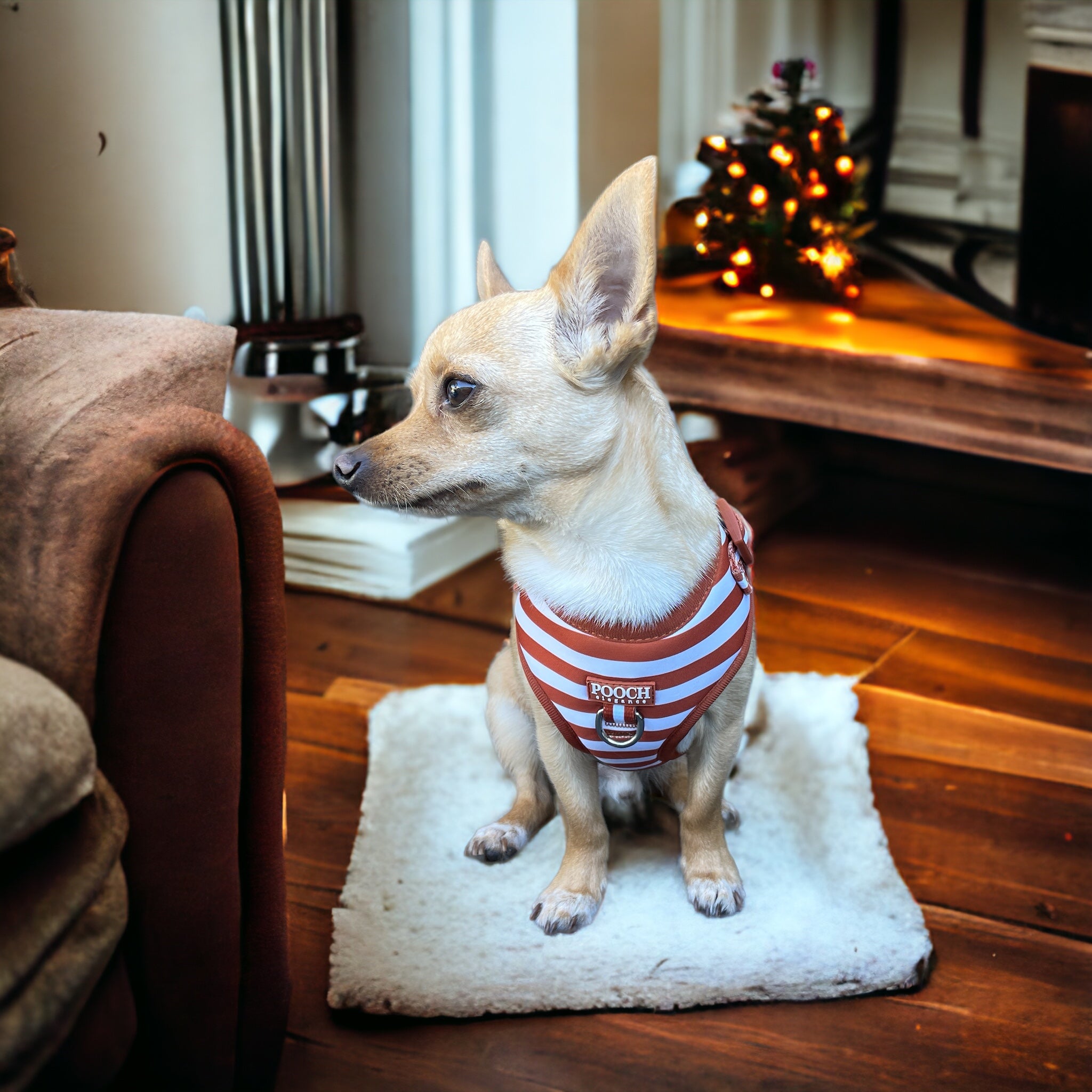 Carnival Stripe - Caramel Adjustable Harness