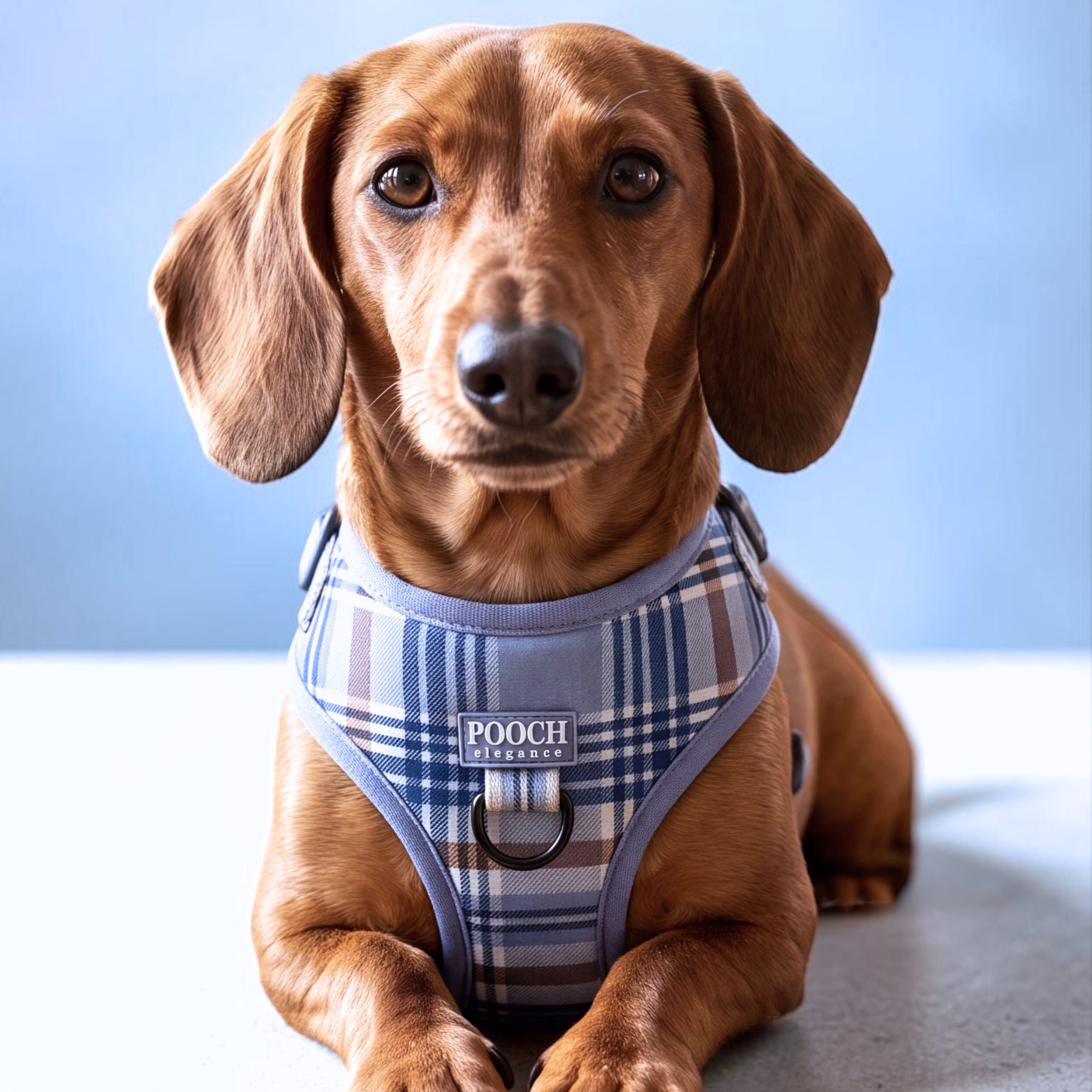 Apsen Plaid Adjustable Dog Harness