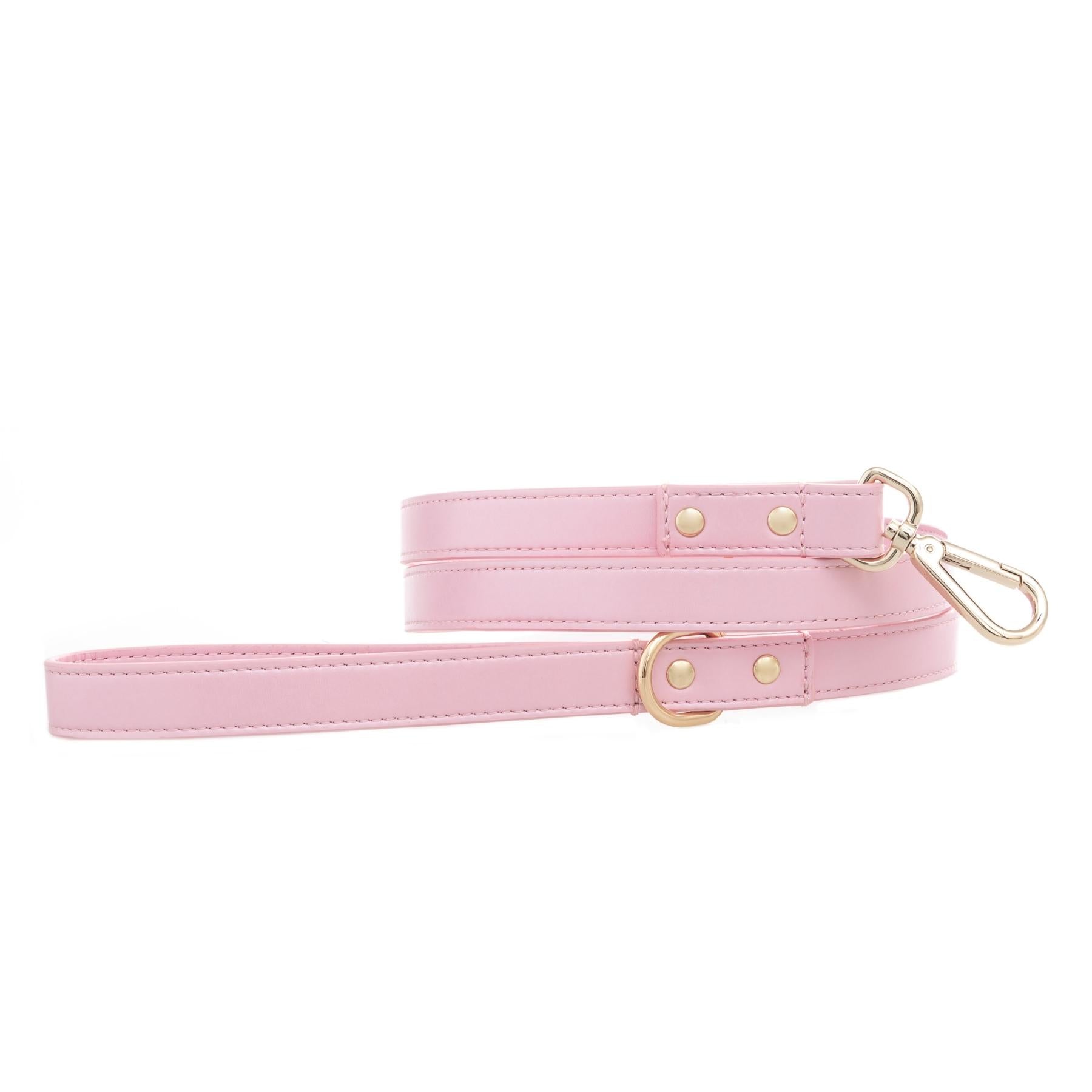 Dog Leash - Musk