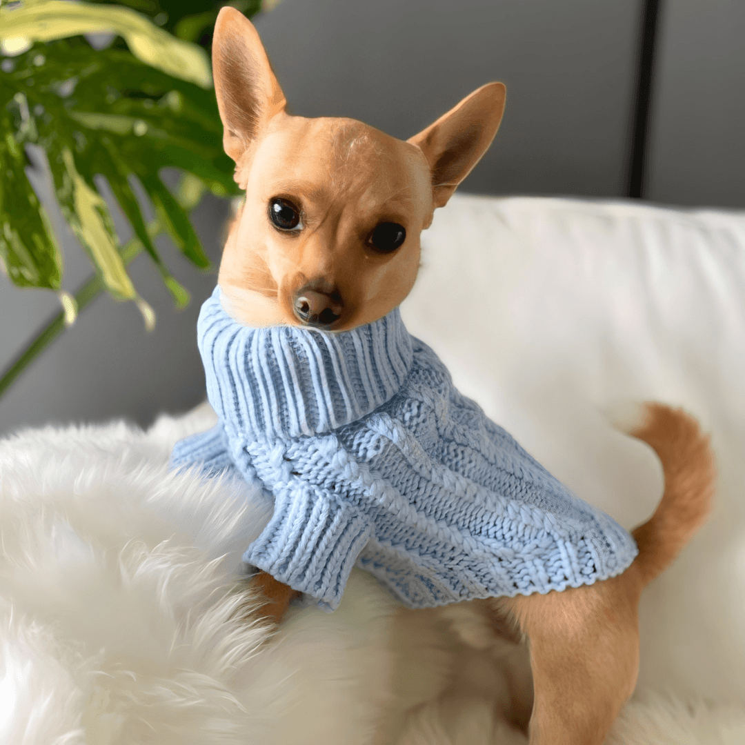 Dog Sweater - Frosty Blue