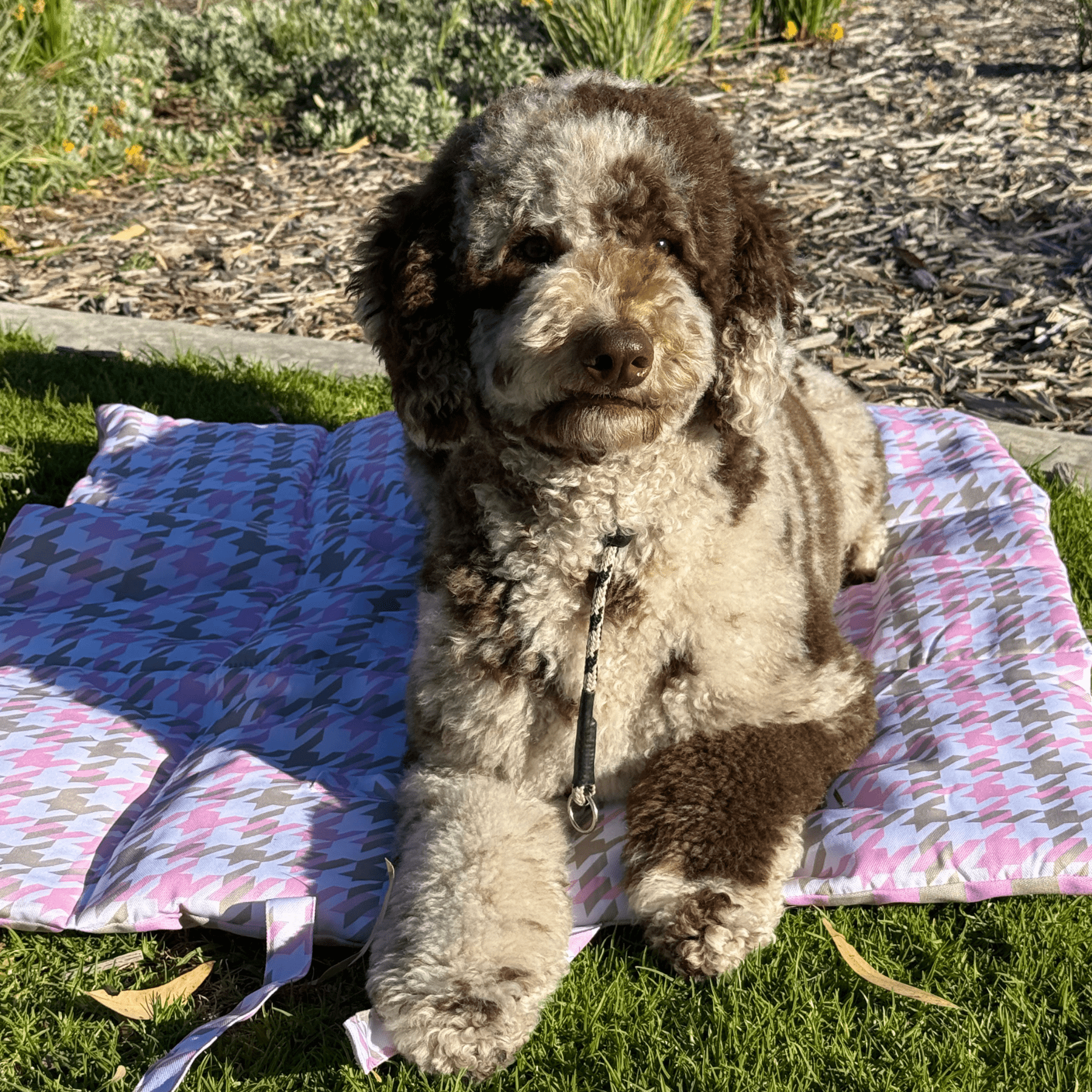 Travel Mat - Houndstooth Belle