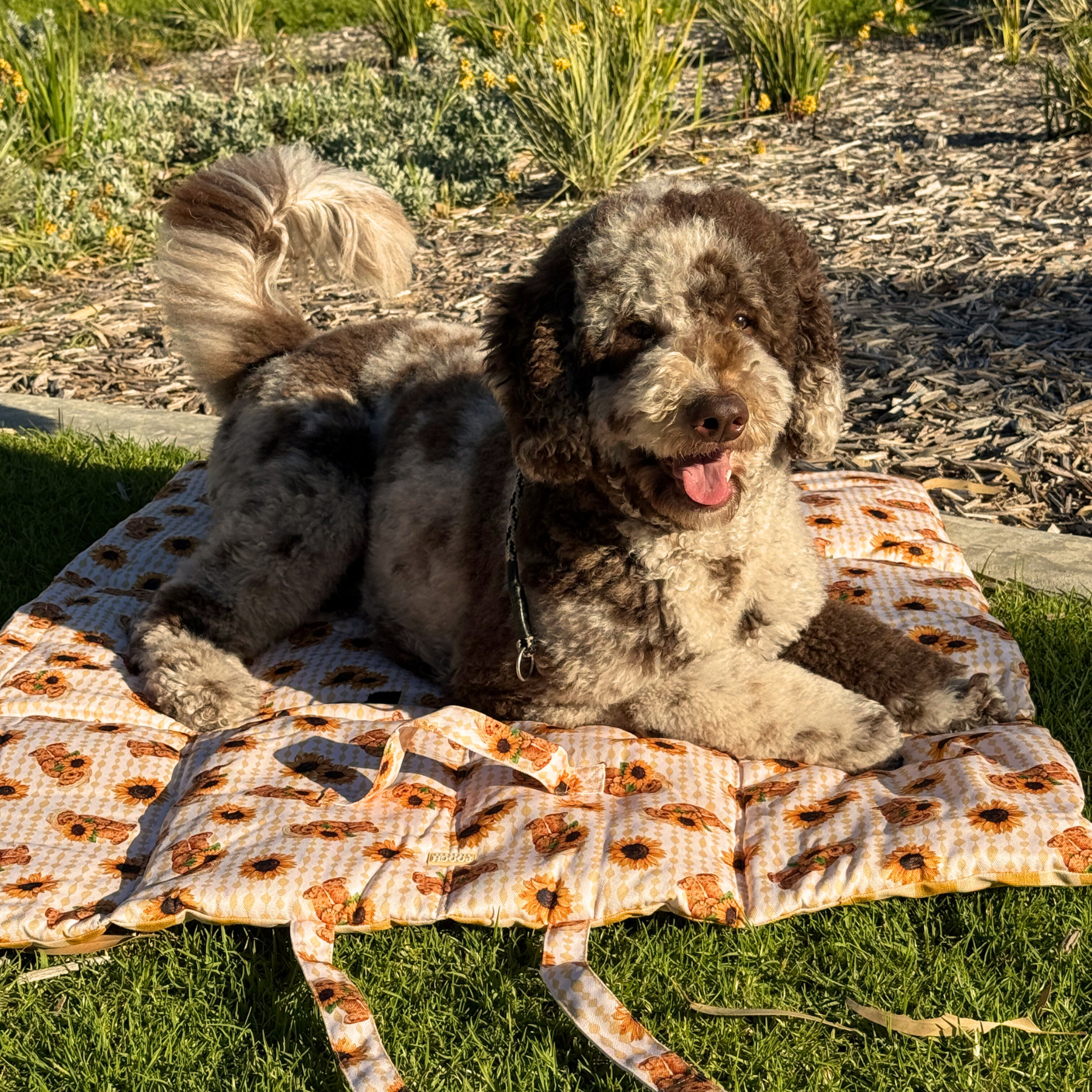 Travel Mat - Sunflower Bears