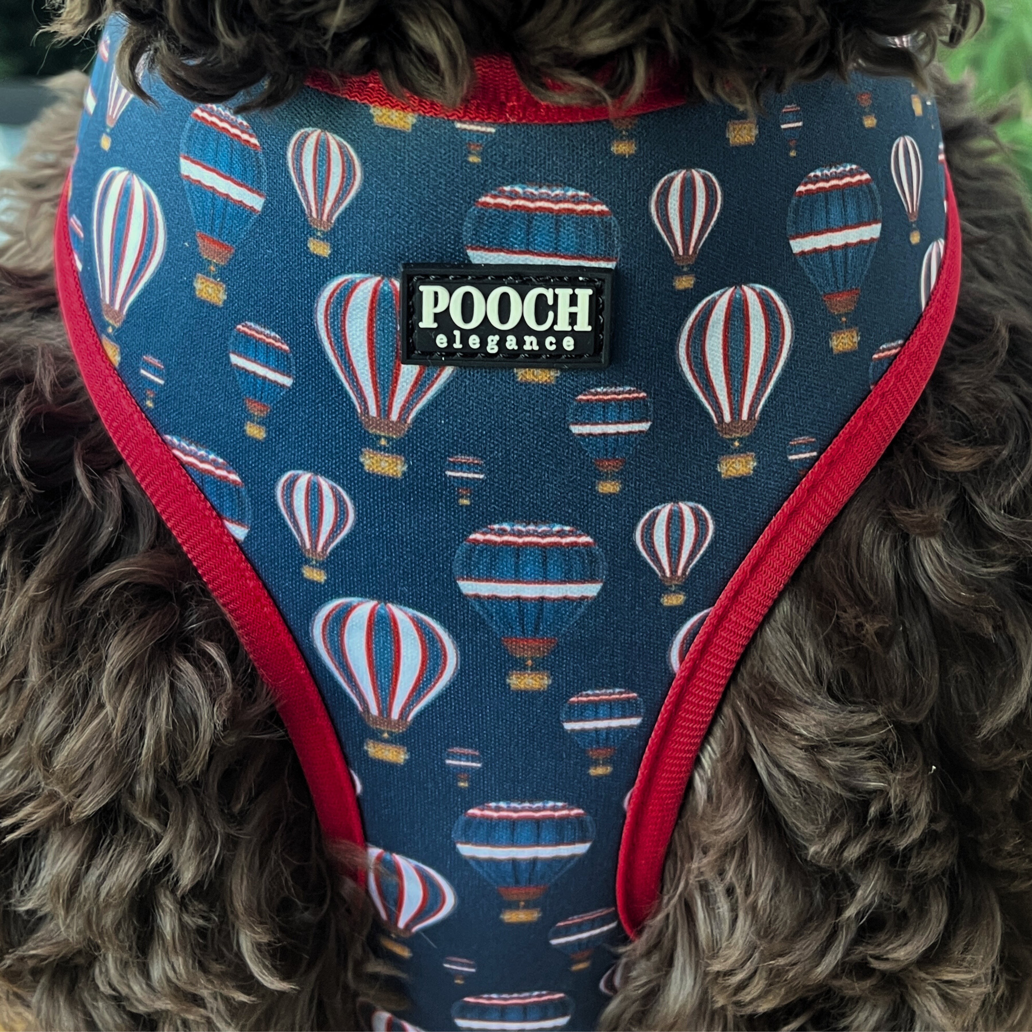 Midnight Balloons Reversible Harness