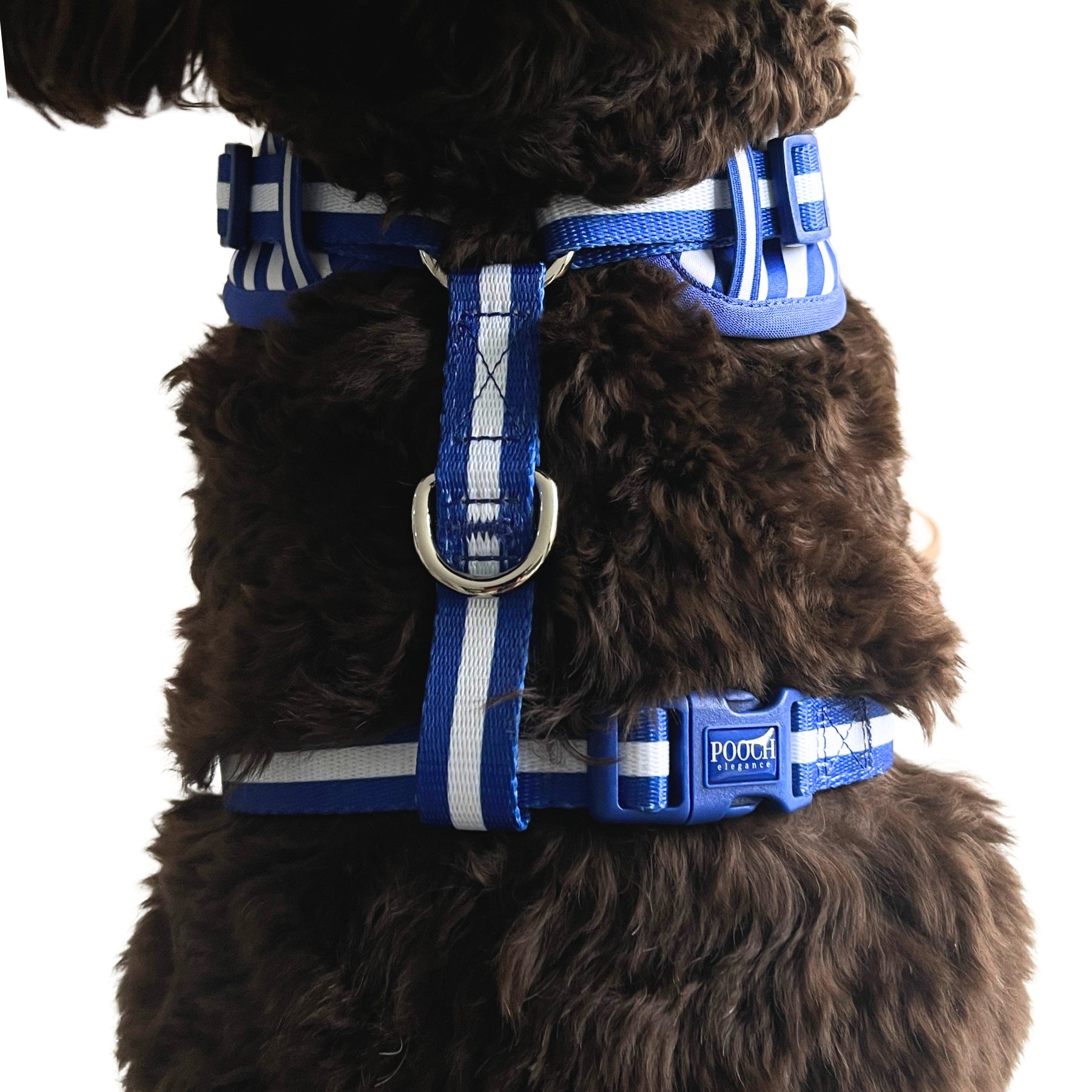 Carnival Stripe - Royal Blue Adjustable Harness