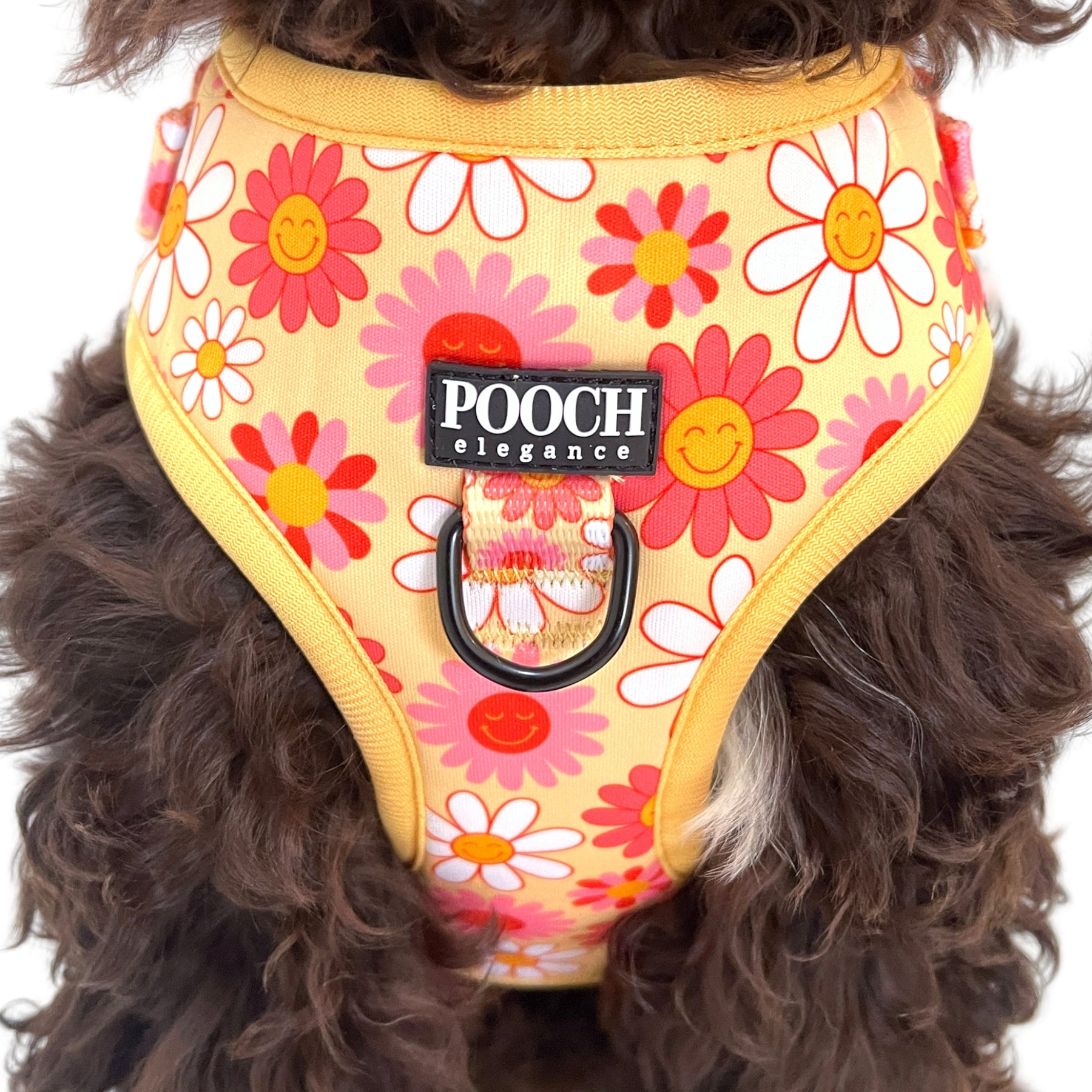 Little Bright Daisies Adjustable Dog Harness