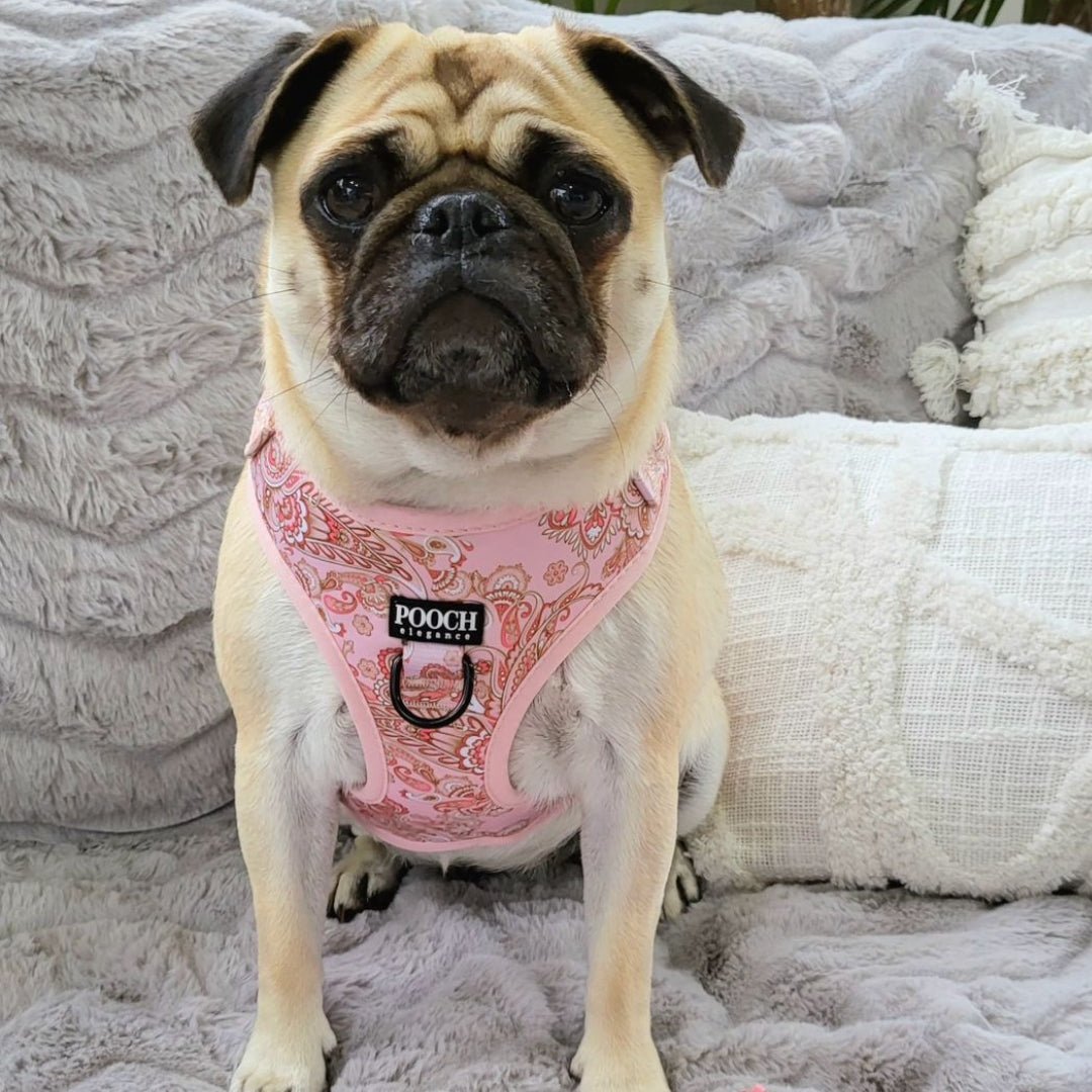 Paisley Blush Adjustable Dog Harness