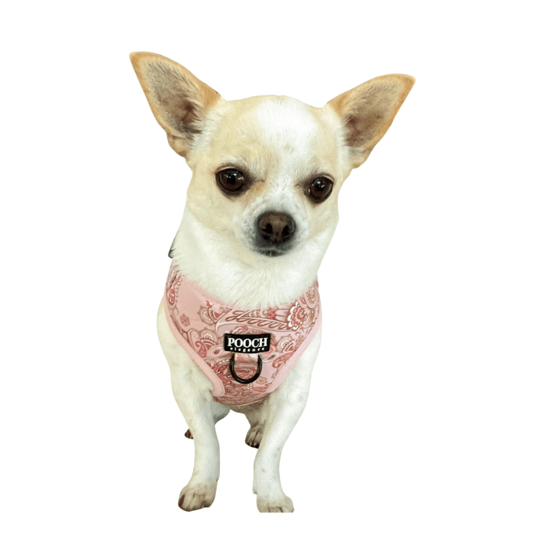 Blush sales dog harness