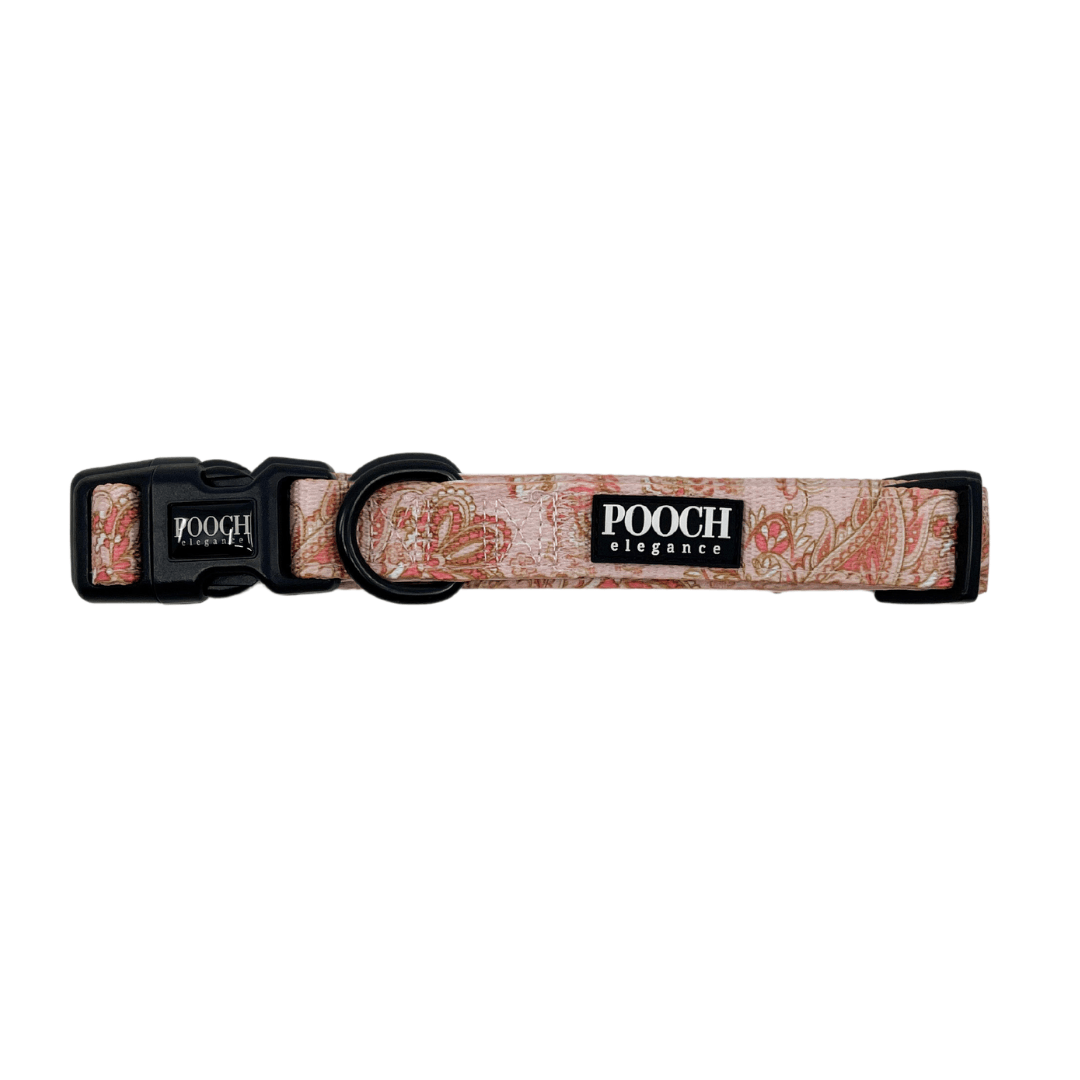 Paisley Blush Dog Collar