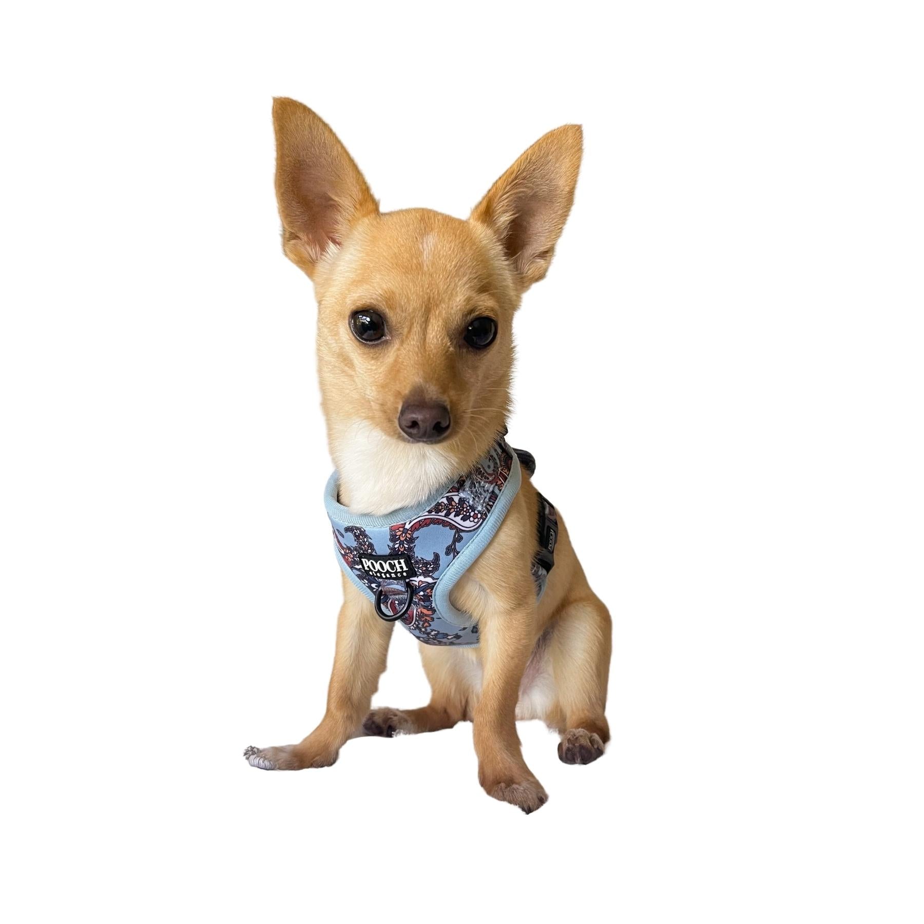 Paisley Blues Adjustable Dog Harness - Pooch Elegance