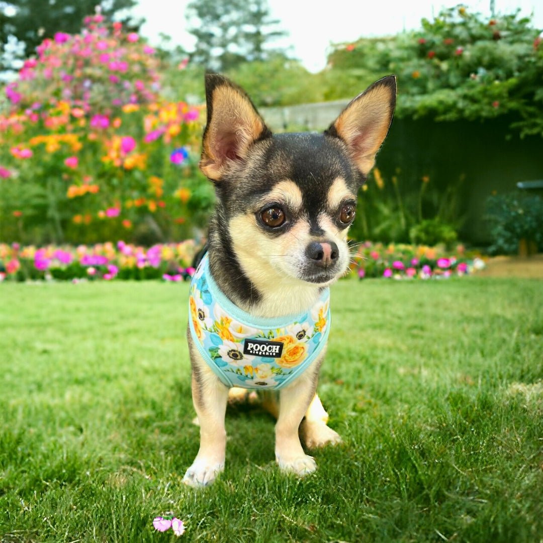 Spring Blooms Reversible Harness